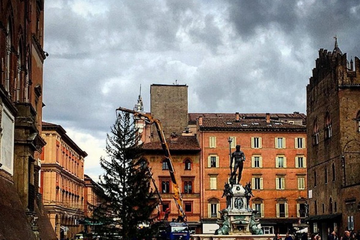 Natale 2015: è arrivato l’albero in Piazza Nettuno