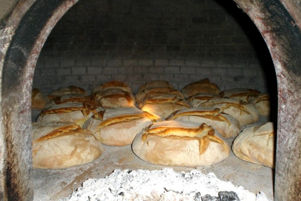 A Bologna ha aperto il primo forno sociale