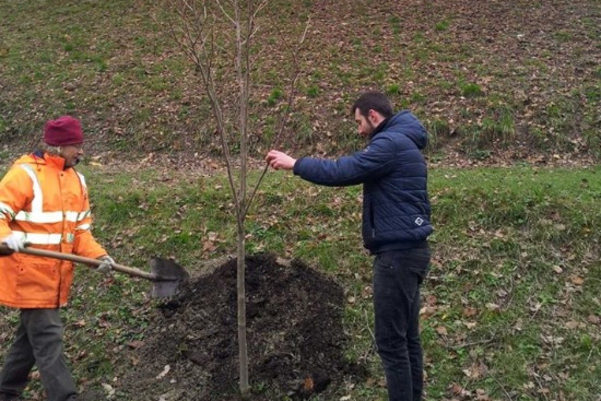 Regalati un albero: un dono d’amore a Villa Ghigi