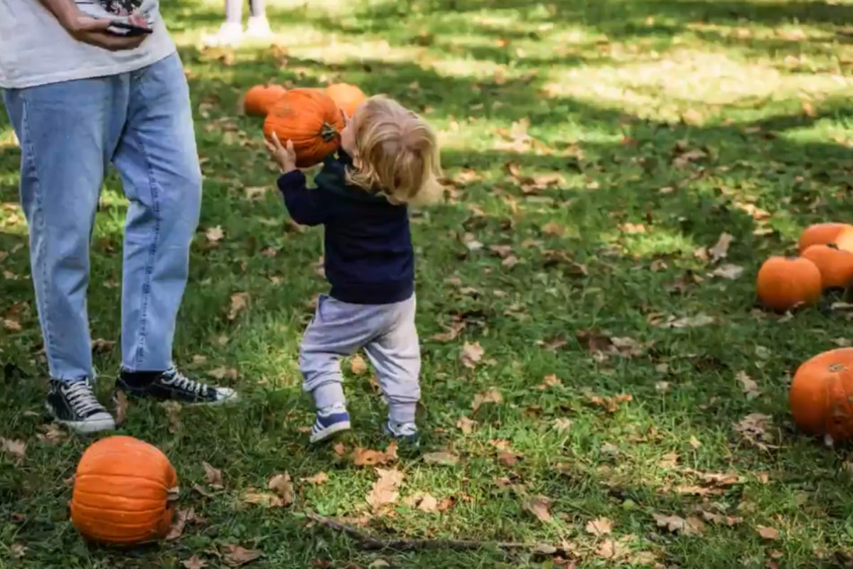 Halloween tra Escape Room e il Parco delle Zucche