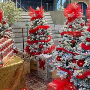 Natale e Capodanno: è festa da FICO, il primo Food Park a livello mondiale