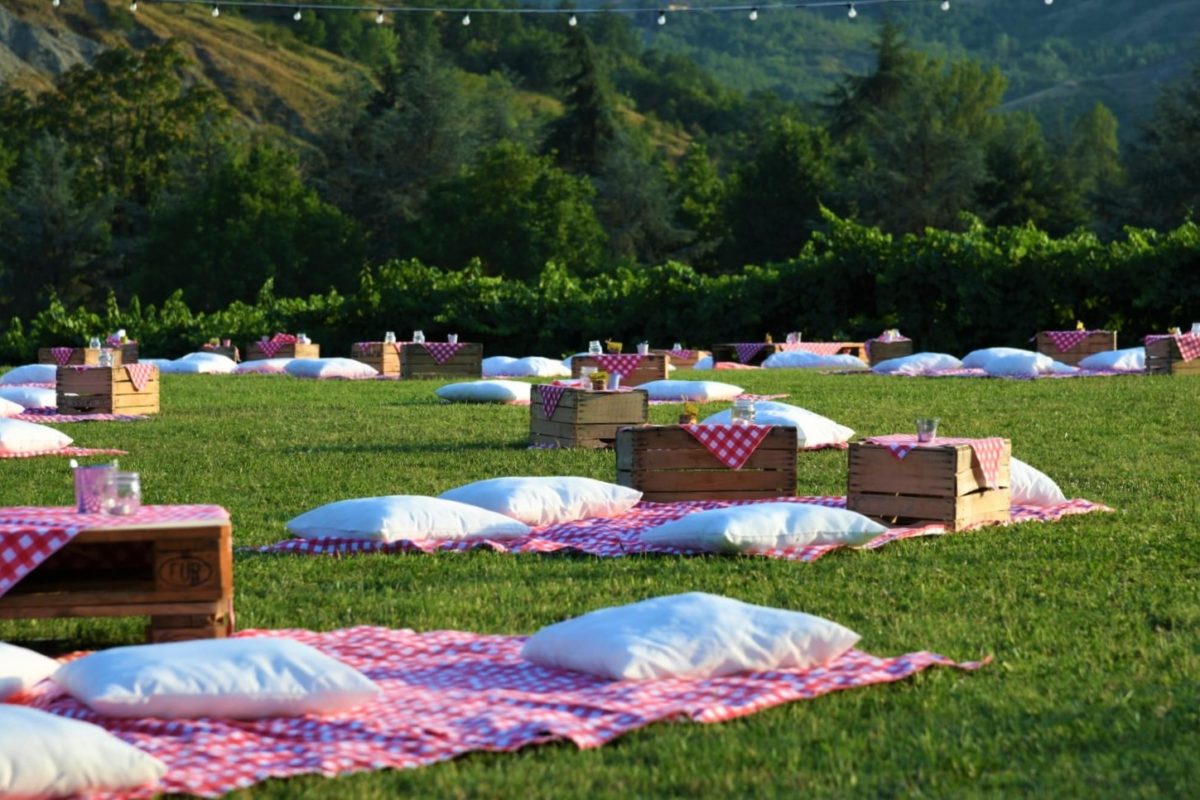 Calici in vigna, picnic e vino tra colline e vigneti