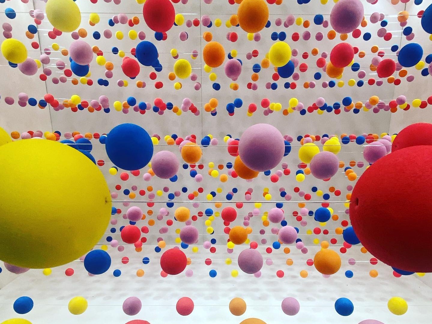 Beautiful Gallery a Bologna è ancora più bella: pronti a scattarvi ...