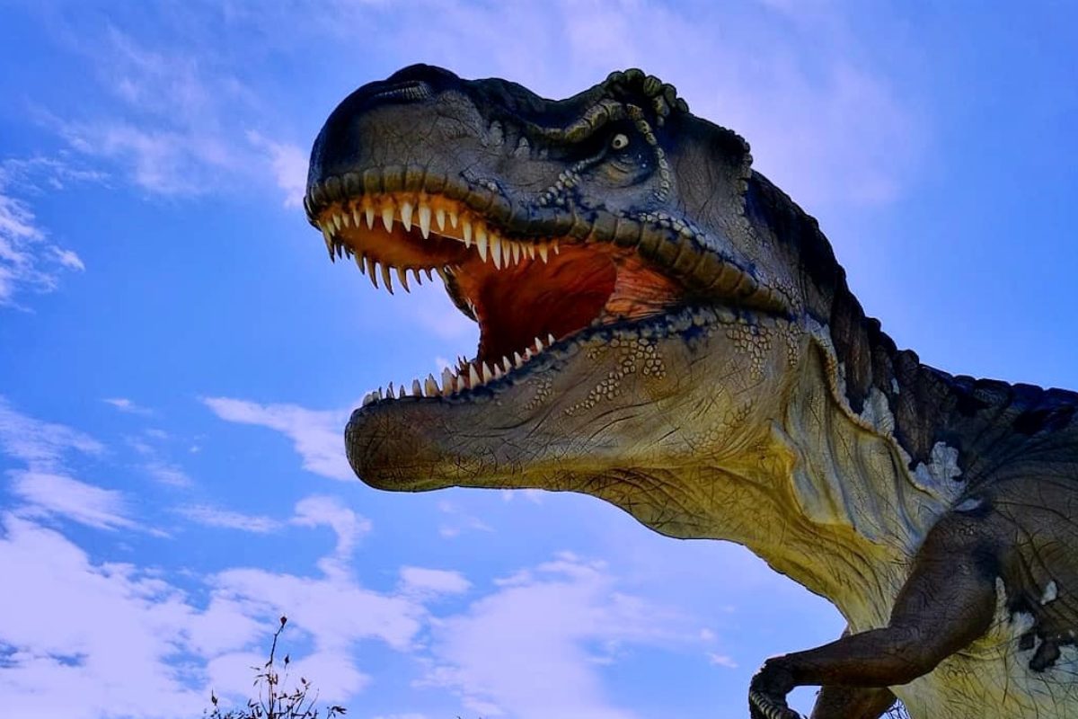 Un Parco preistorico, con tanto di dinosauri, a due passi da Bologna