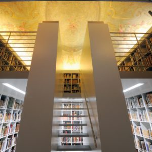 A Bologna qualcosa di eccezionale: #wunderkammer, il museo delle meraviglie