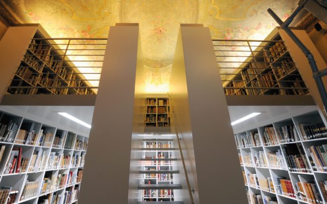 A Bologna qualcosa di eccezionale: #wunderkammer, il museo delle meraviglie