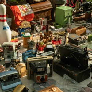WOW!, a Bologna la fiera che vi sorprenderà