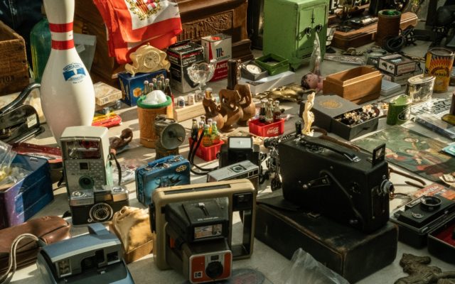 WOW!, a Bologna la fiera che vi sorprenderà