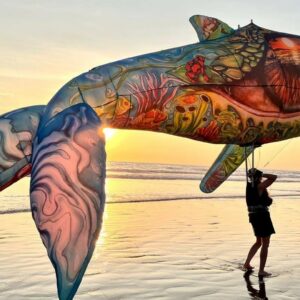 Il cielo come non l’avete mai visto prima: ARTEVENTO stupirà tutti